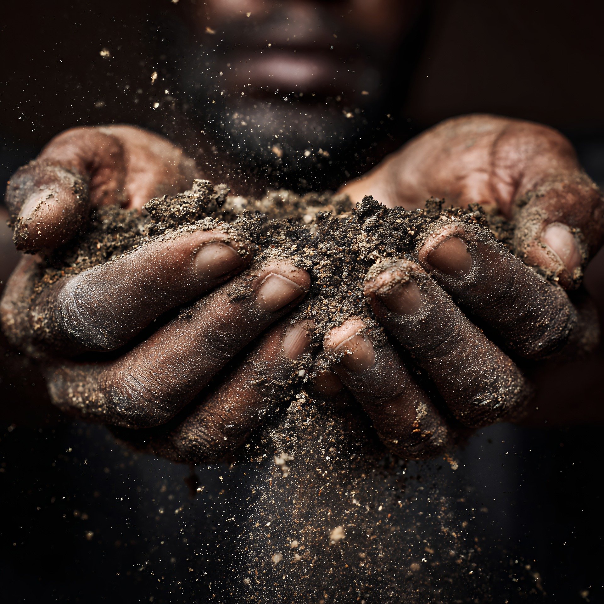 Prodotti per giardinaggio e concimi